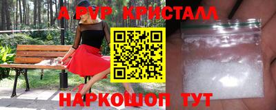 стаф Кингисепп