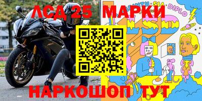 стаф Кингисепп