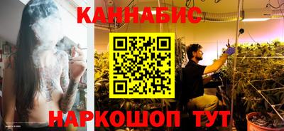 стаф Кингисепп