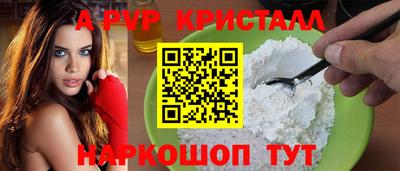 стаф Кингисепп