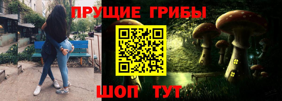 купить  сайты  Псилоцибиновые грибы мицелий  Вход с VPN  Зерноград 